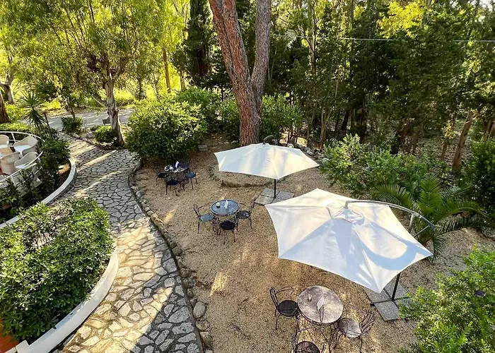 Brigantino 프로키오