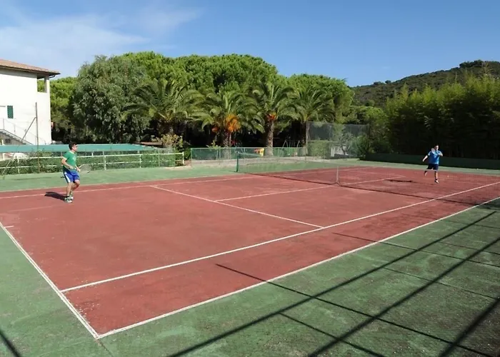 Brigantino 프로키오